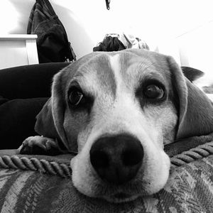 Meet your Posher, Mylene